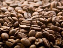 kopi lombok