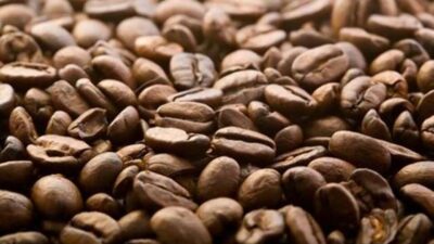 kopi lombok