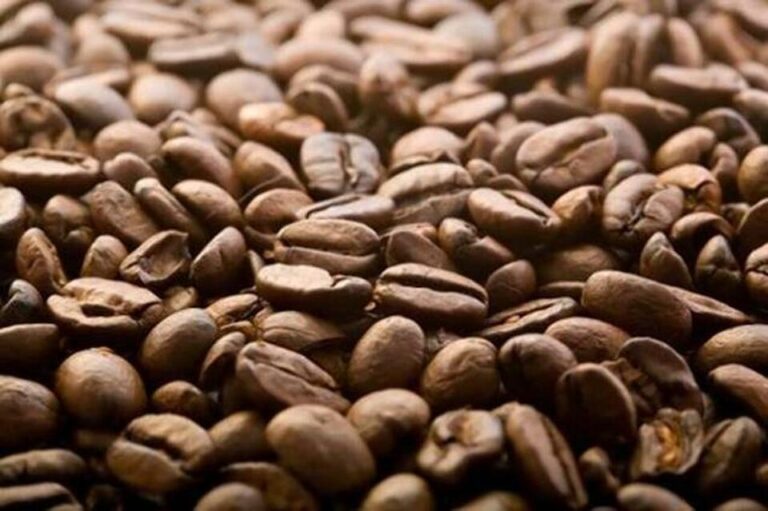 kopi lombok