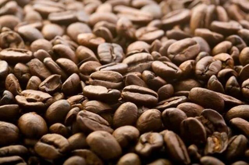 kopi lombok