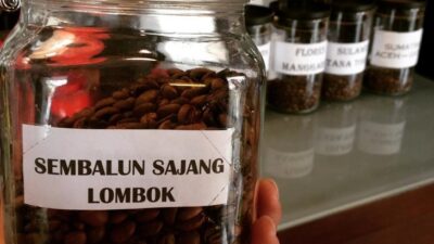 kopi Sembalun lombok